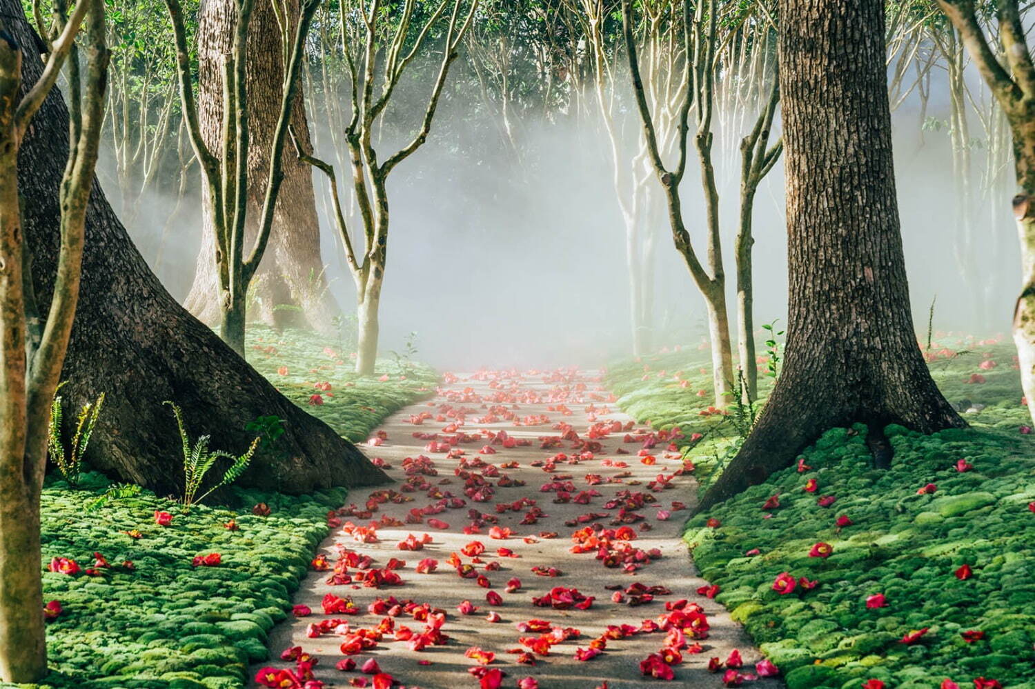 ホテル椿山荘東京「椿絵巻」