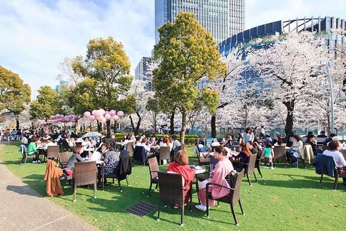 東京ミッドタウンでお花見「ミッドタウン・ブロッサム 2014」開催、スパークリングワインの振る舞いも｜写真8