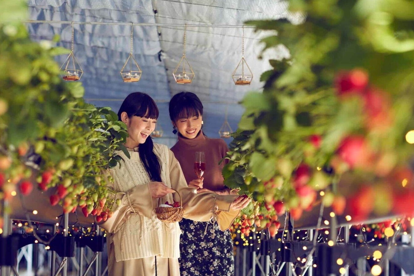 星野リゾート リゾナーレ熱海「ナイトストロベリーツアー」