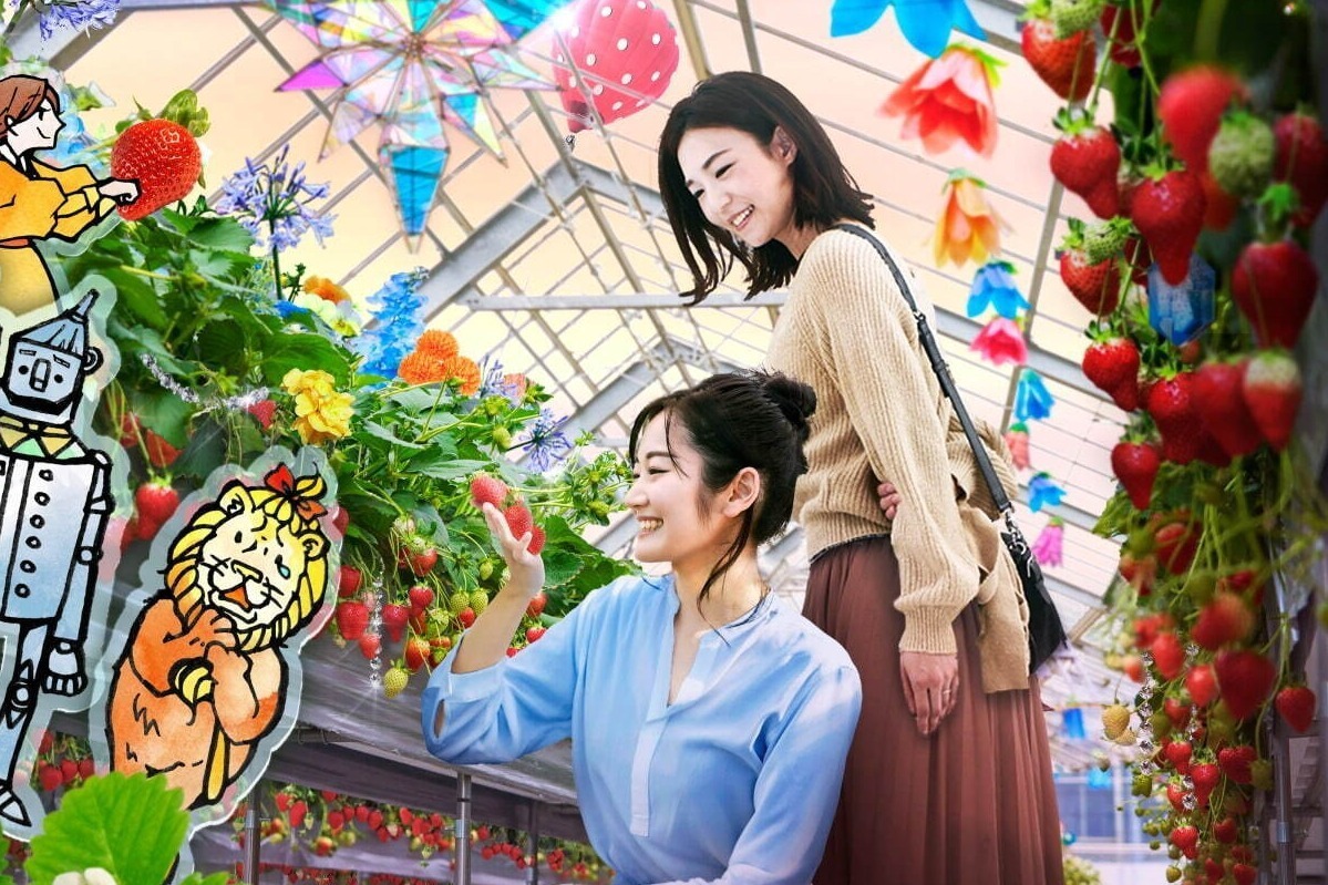 京成バラ園の“ストーリー仕立て”いちご狩り体験、“オズの魔法使い”着想の温室が舞台