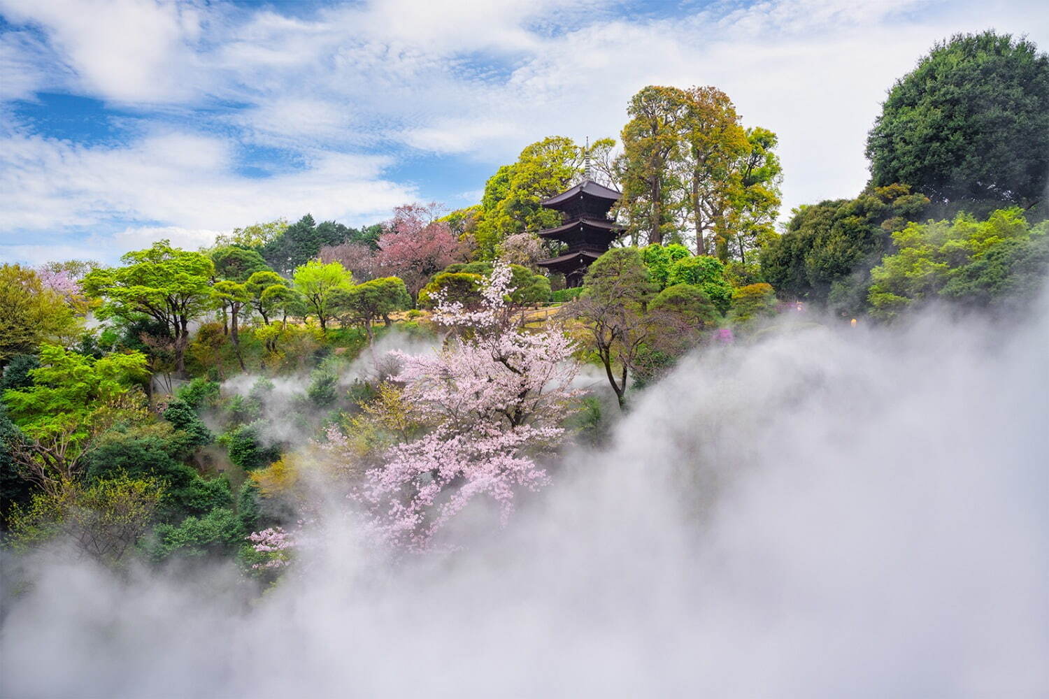 ホテル椿山荘東京の限定宿泊プラン「桜ステイプラン」桜香るロクシタンのギフトコレクション付き｜写真8