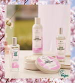 ザボディショップ(THE BODY SHOP) チェリーブロッサム｜写真6