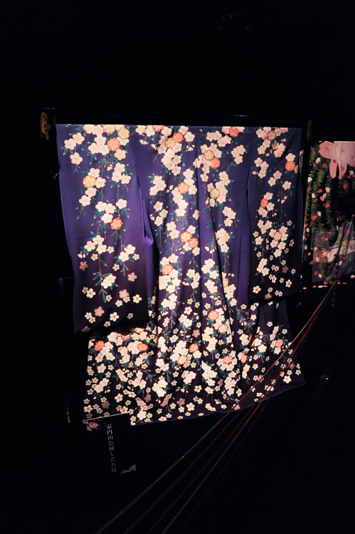アートアクアリウム最新作も登場「江戸桜ルネッサンス＆夜桜うたげ」日本橋に美しいアートな花見の世界 | 写真