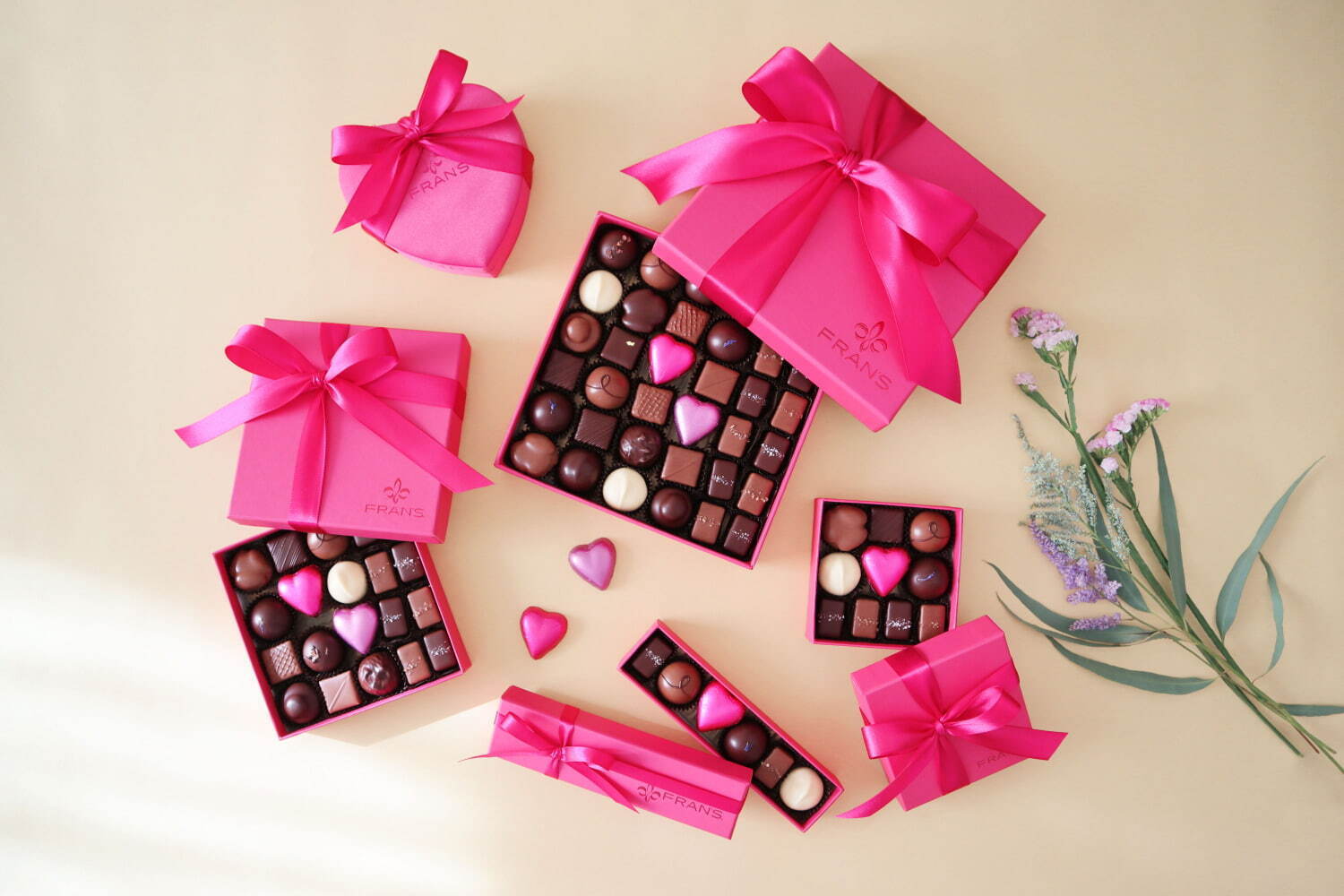 フランズ チョコレート23年バレンタイン、“ソルトキャラメル”など厳選ショコラをピンクボックスに｜写真2