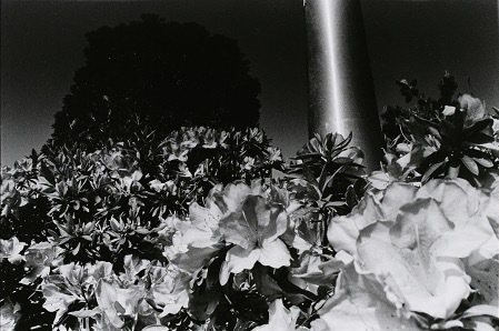 深瀬昌久 「歩く眼」より 1983年 東京都写真美術館
©深瀬昌久アーカイブス