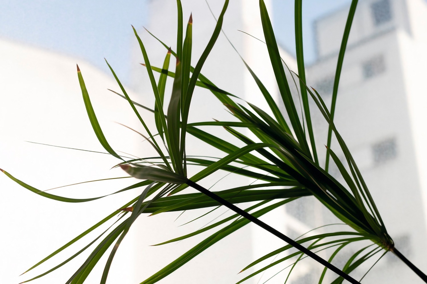 芸術家｜ヴォルフガング・ティルマンスの展覧会「Moments of life」エスパス ルイ・ヴィトン東京で