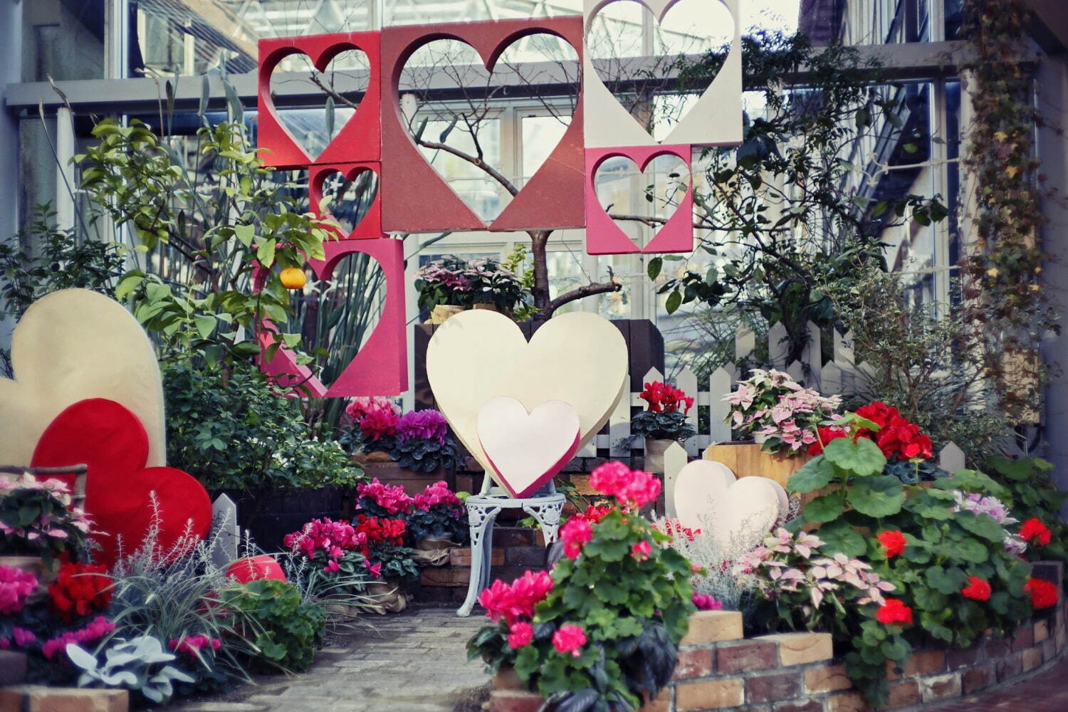 神戸布引ハーブ園のバレンタイン、ピンクのハートオブジェ＆美しい花々のフォトスポット｜写真1