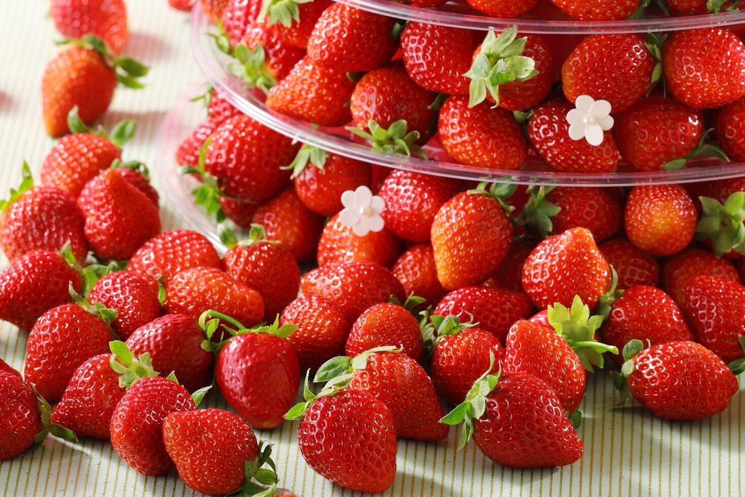 スイーツパラダイス“あまおう”など国産ブランド苺＆アールスメロン食べ放題、いちごスイーツも