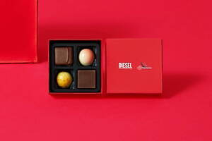 ディーゼル(DIESEL) ドゥルミアン｜写真7