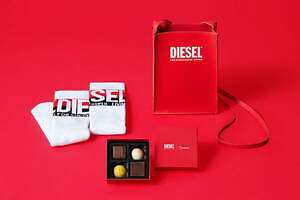 ディーゼル(DIESEL) ドゥルミアン｜写真2