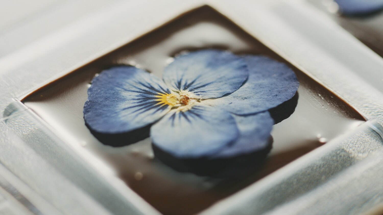 “食べられる押し花”を飾った「花のチョコレート」全国髙島屋のバレンタイン限定で発売｜写真3