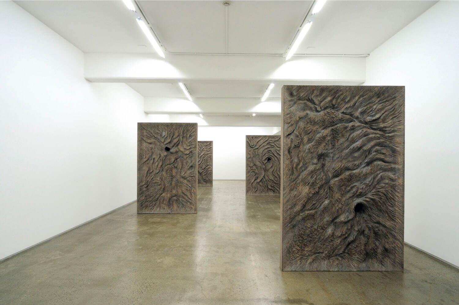 戸谷成雄 《洞穴体III》 2010年 撮影：武藤滋生 ©Shigeo Toya Courtesy of ShugoArts