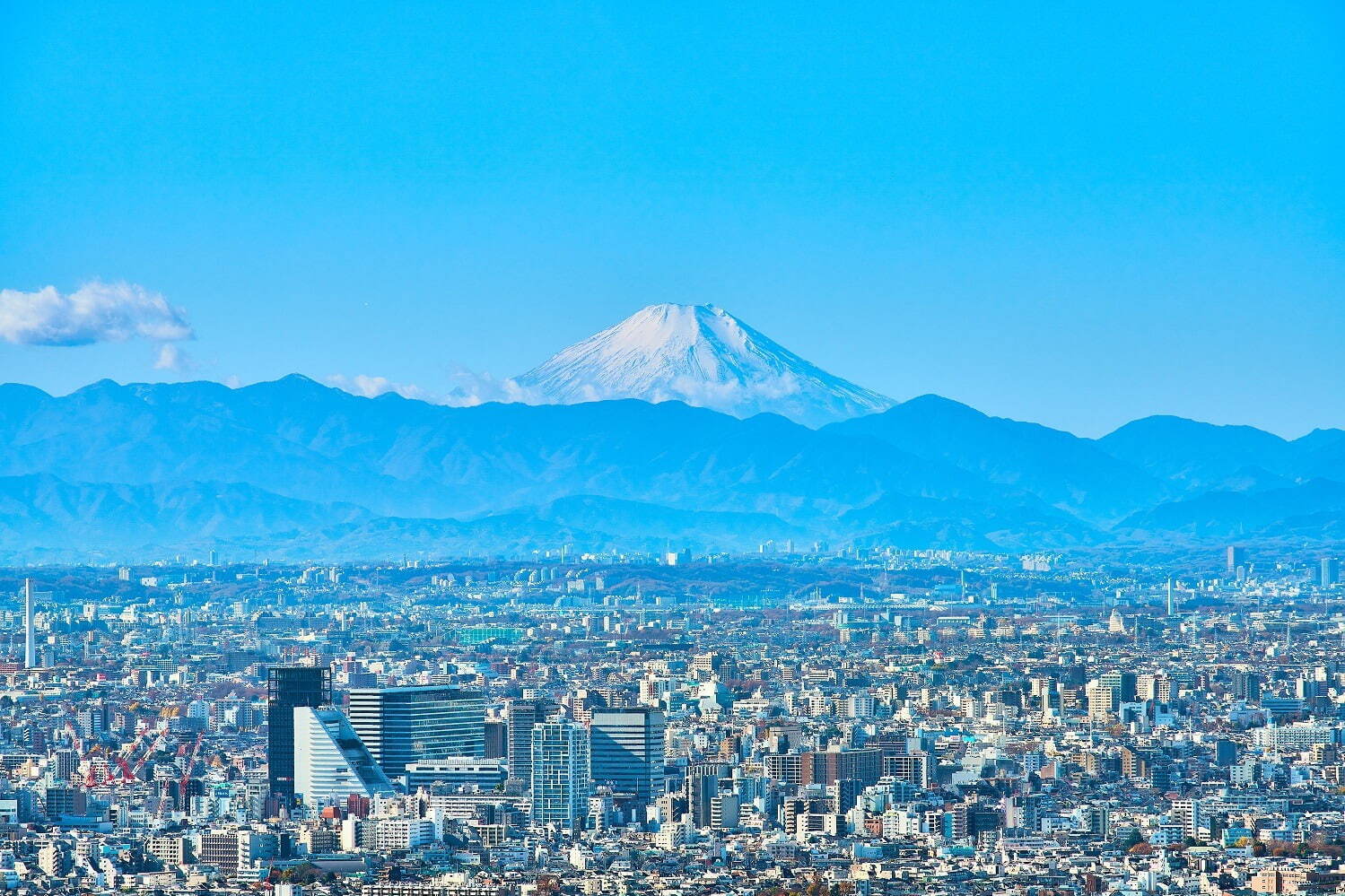 池袋サンシャインシティの展望台が「てんぼうパーク」にリニューアル、開放感あふれる空の公園｜写真17