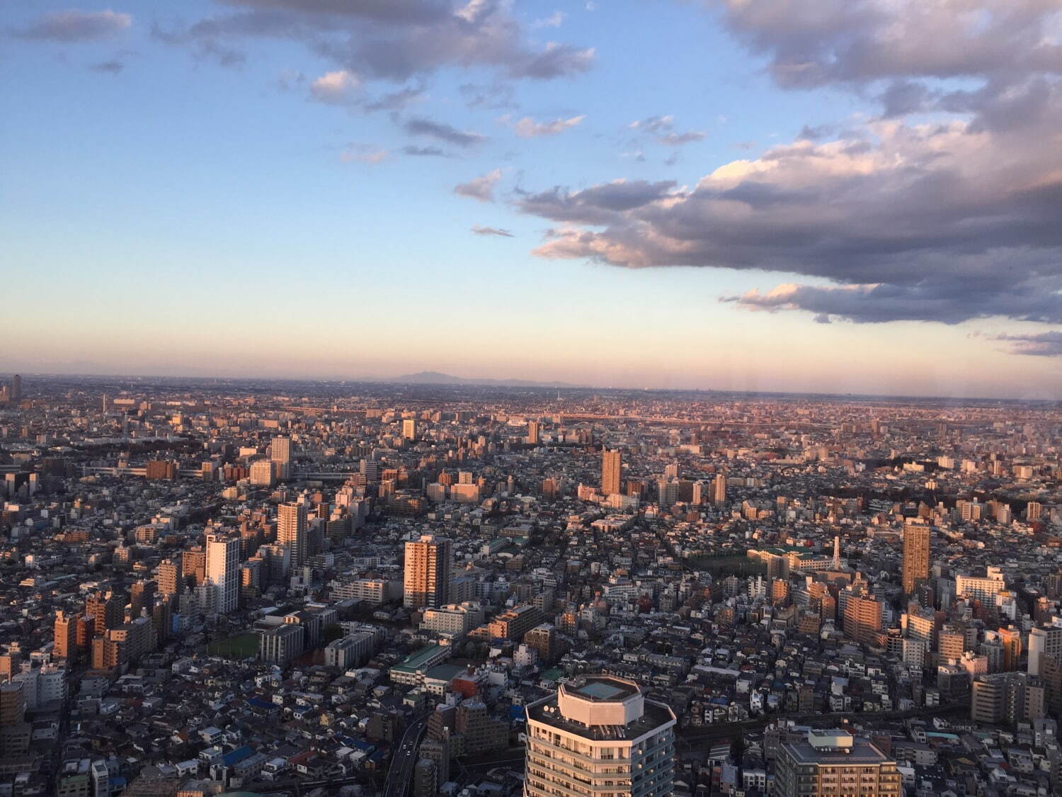 池袋サンシャインシティの展望台が「てんぼうパーク」にリニューアル、開放感あふれる空の公園｜写真10