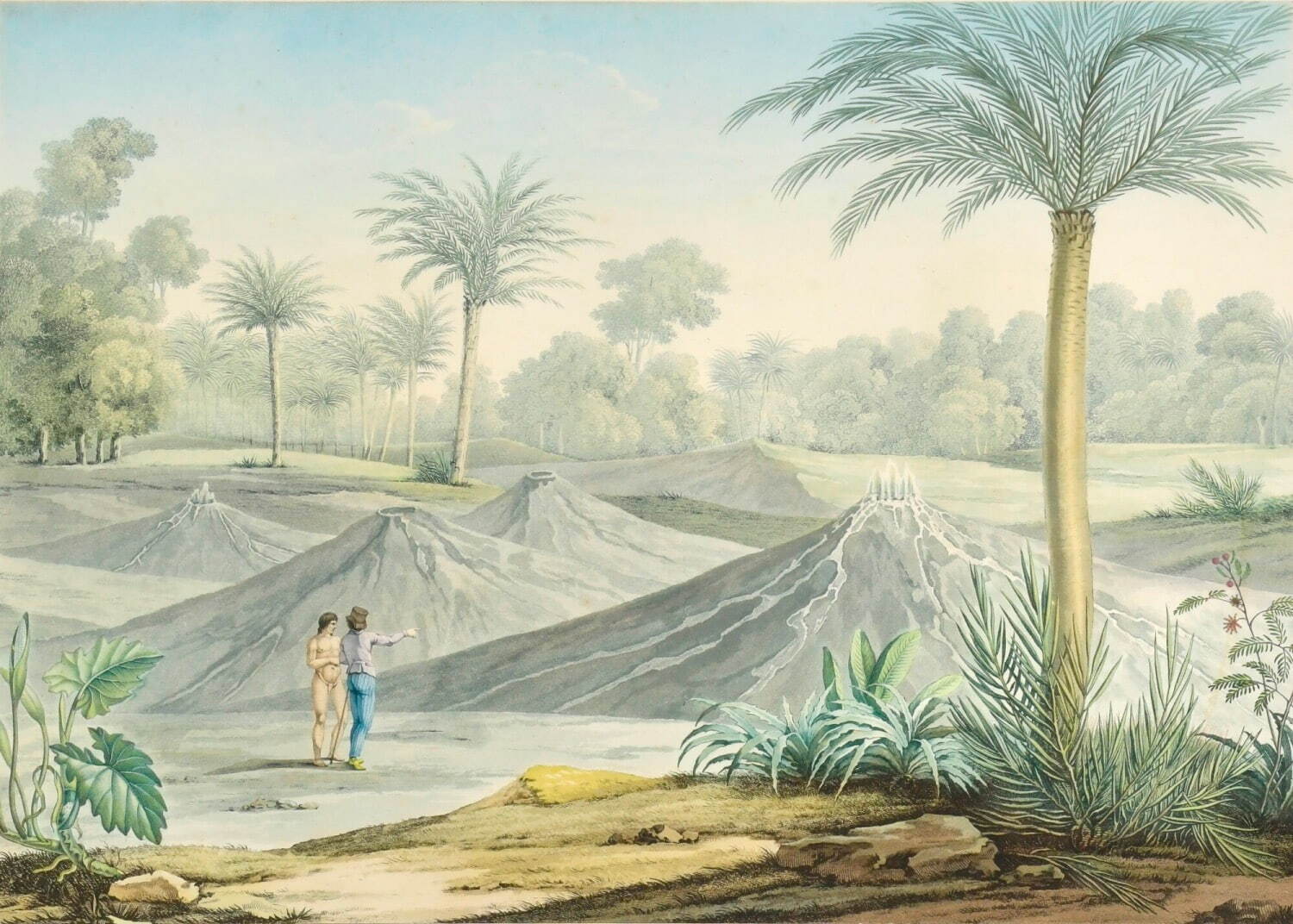 アレクサンダー・フォン・フンボルト 『新大陸赤道地方紀行』 1805-34年刊 銅版・手彩色 放送大学附属図書館