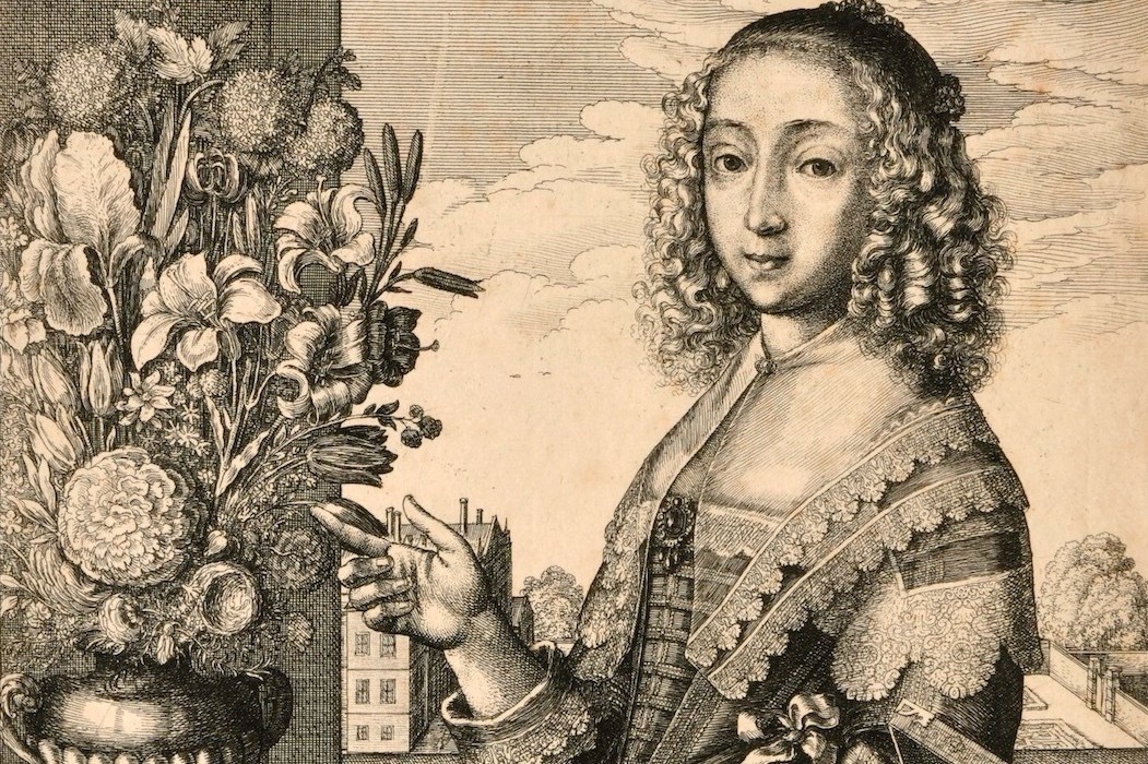 美術館｜企画展「自然という書物」町田市立国際版画美術館で、“自然誌と美術の繋がり”自然の図解の展開をたどる