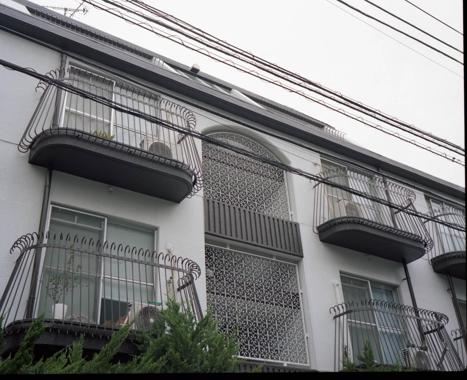 コーヘン 2023年春夏<span>コレクション</span> - 写真6