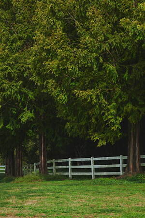 ソフネット(SOPHNET.) 2023年春夏メンズコレクション  - 写真47