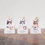 アフタヌーンティー・リビング“ネコたちの一日”を表現したポーチ＆文房具など、キャッツイシューとコラボ｜写真4