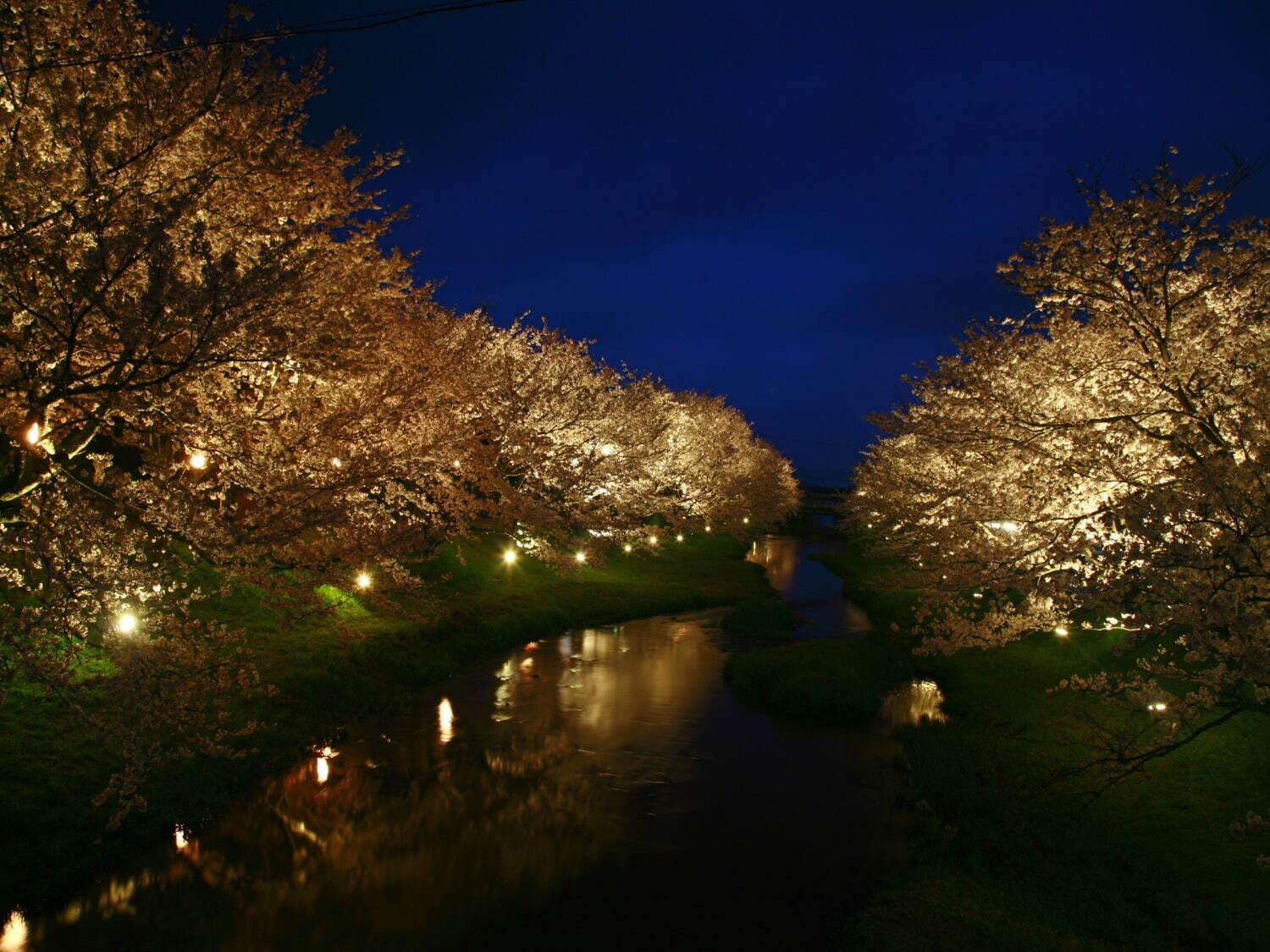 星野リゾートの温泉旅館「界 玉造」“夜桜巡り人力車”400本の桜を人力車で鑑賞、温泉湯たんぽと共に｜写真3