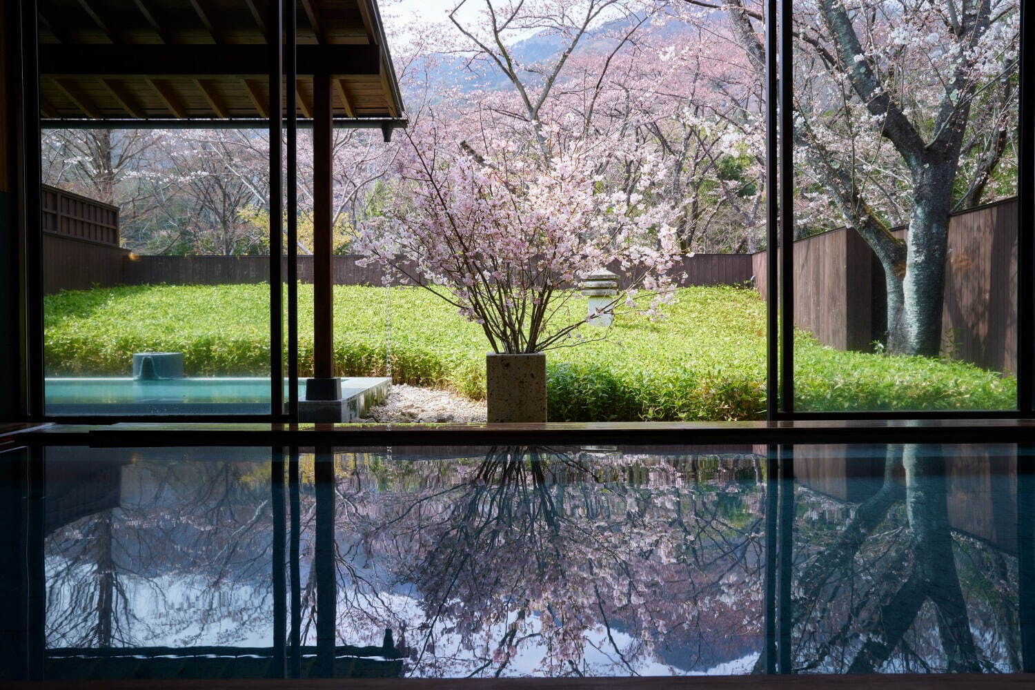 星野リゾートの温泉旅館「界 鬼怒川」満開の夜桜と会席料理をテラスで、“桜餅×海老”煮物椀や桜スイーツ｜写真3