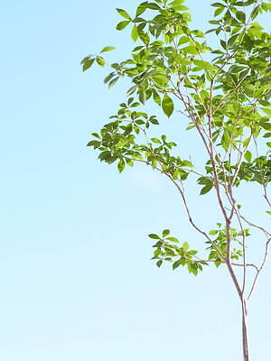 ワランス(WALANCE) 2023年リゾートウィメンズコレクション  - 写真42