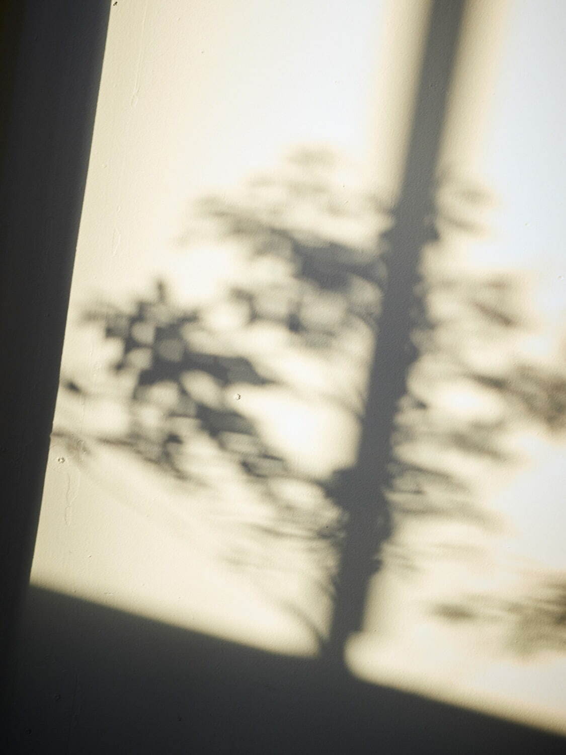 ワランス 2023年リゾート<span>コレクション</span> - 写真14