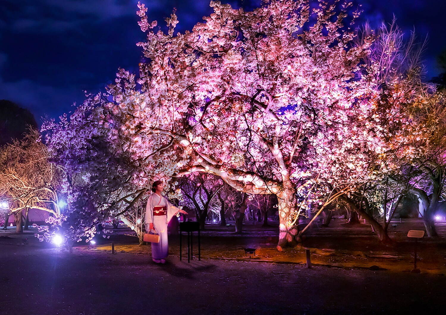 桜の園『花音(はなおと)』