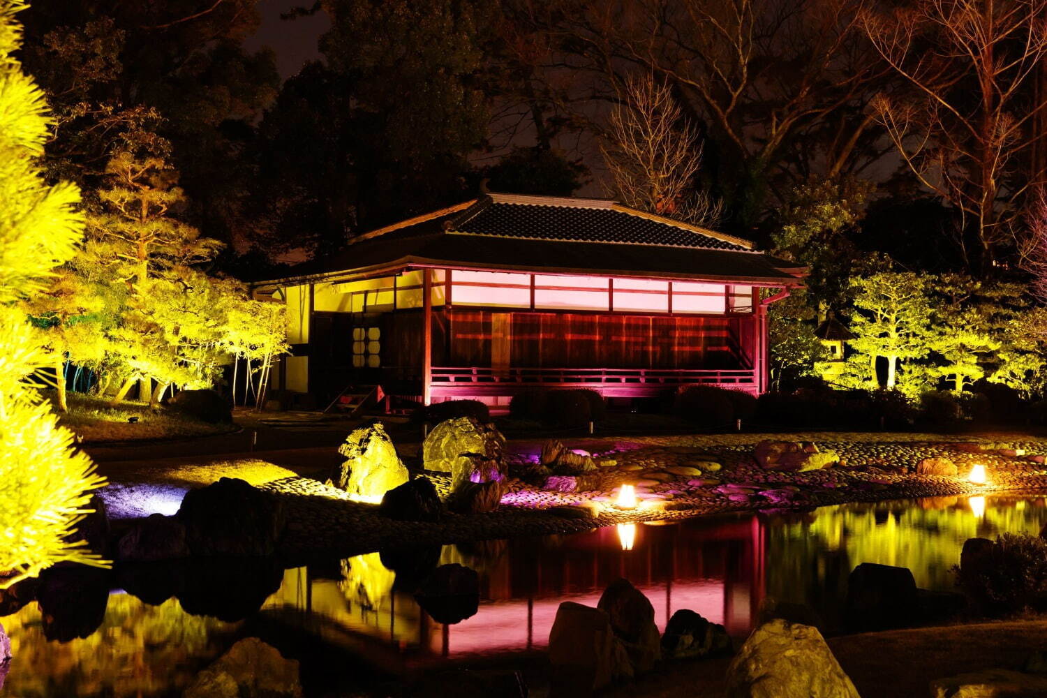 京都・二条城のライトアップ「ネイキッド フラワーズ 2023 桜」デジタルアート×アロマ演出｜写真9