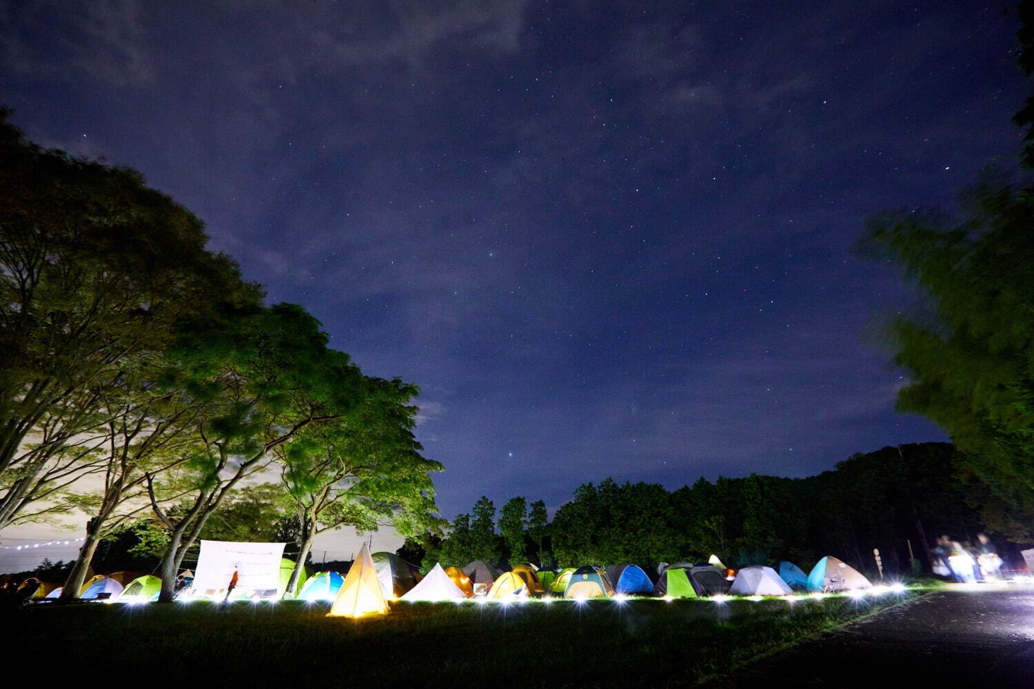 オールナイト野外映画イベント「夜空と交差する森の映画祭2023」山梨で、キャンプやワークショップも - ファッションプレス