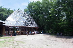 オールナイト野外映画イベント「夜空と交差する森の映画祭2023」山梨で、キャンプやワークショップも|写真21