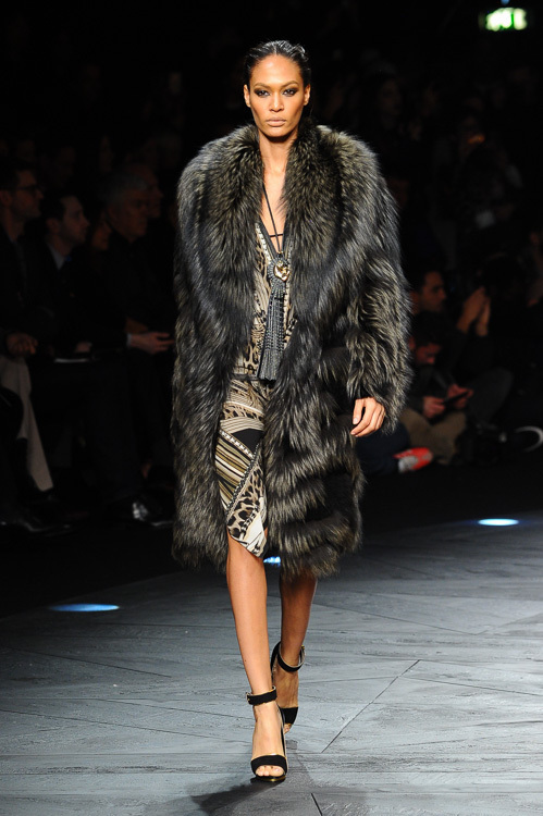 ロベルト カヴァリ(roberto cavalli) 2014-15年秋冬ウィメンズコレクション  - 写真10