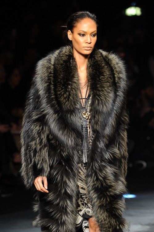 ロベルト カヴァリ(roberto cavalli) 2014-15年秋冬ウィメンズコレクション  - 写真11