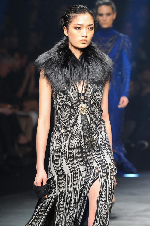 ロベルト カヴァリ(roberto cavalli) 2014-15年秋冬ウィメンズコレクション  - 写真39