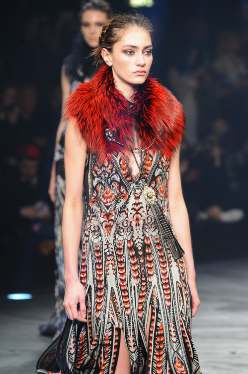 ロベルト カヴァリ(roberto cavalli) 2014-15年秋冬ウィメンズコレクション  - 写真45