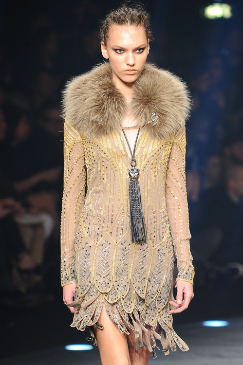 ロベルト カヴァリ(roberto cavalli) 2014-15年秋冬ウィメンズコレクション  - 写真66