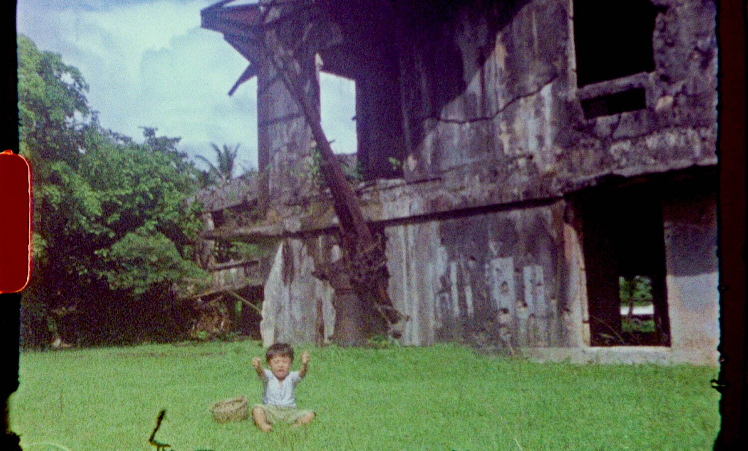 山城知佳子 《ベラウの花》 2023年