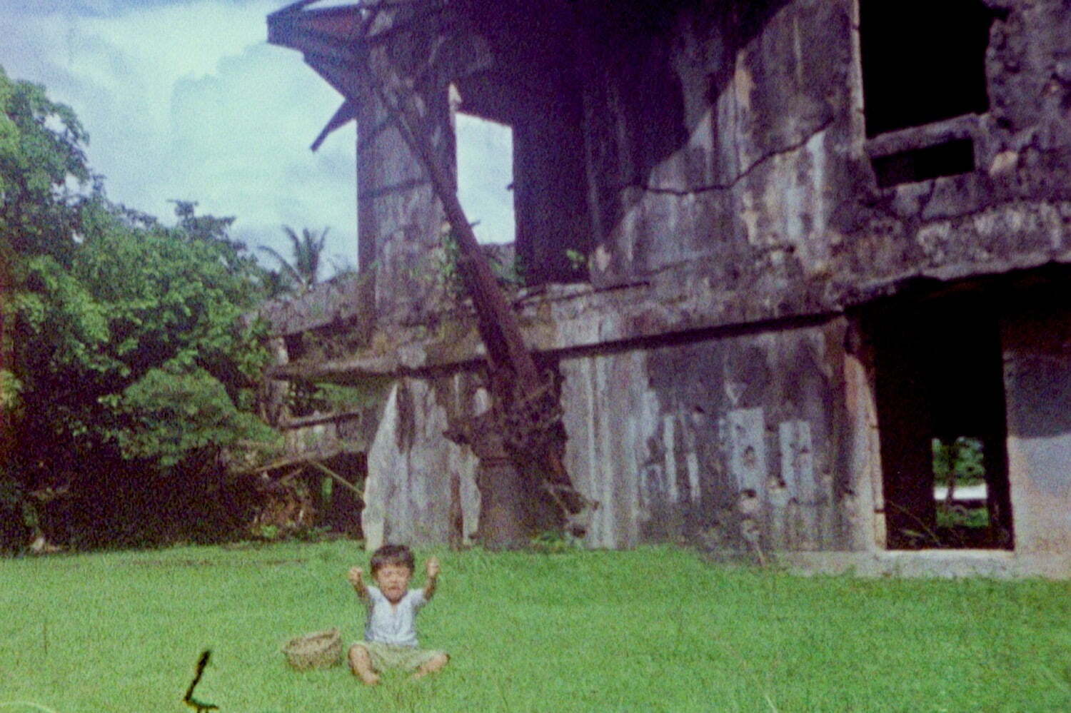 美術館｜山城知佳子の個展が丸亀市猪熊弦一郎現代美術館で、パラオでのリサーチによる新作映像《ベラウの花》発表