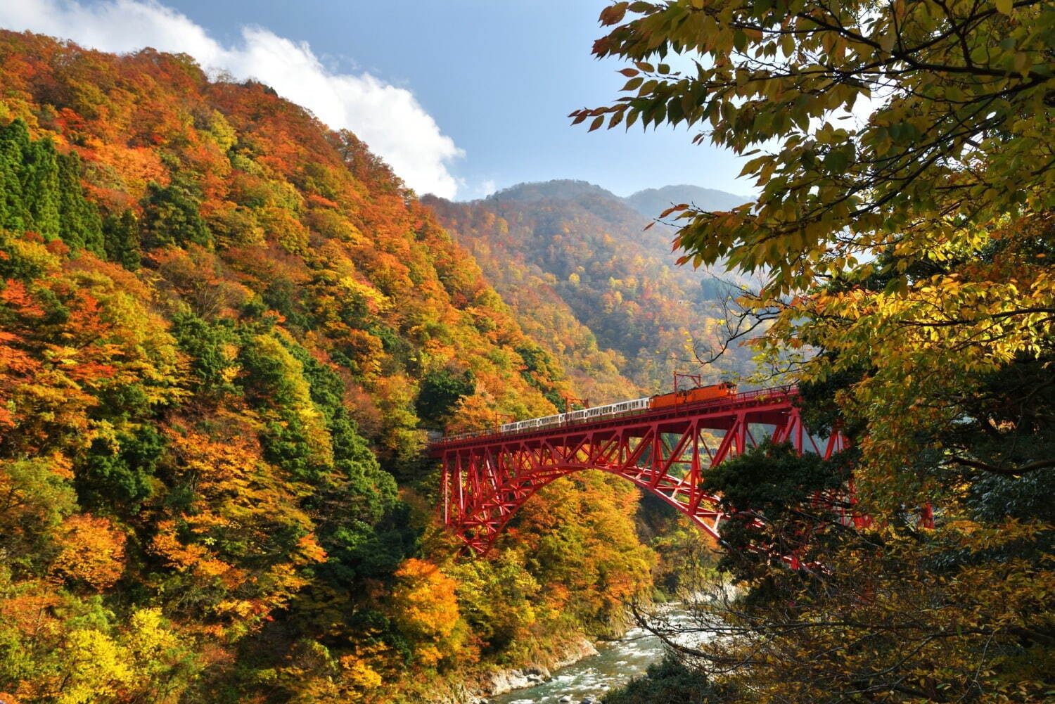 “1泊2日の旅行に”「北陸観光」おすすめモデルコース、海の幸食べ放題＆絶景スポットなど｜写真90