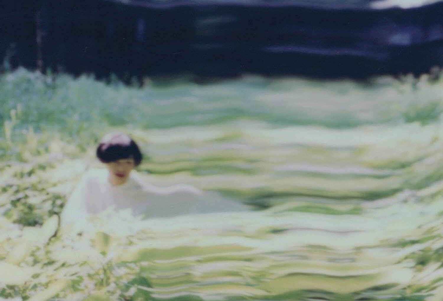 サークル '23 海の中道海浜公園｜写真7