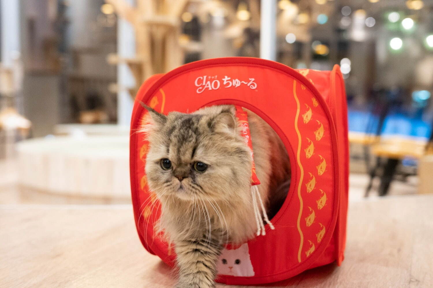 猫用おやつ「CIAO ちゅ～る」がキャットハウスに、"人気まぐろ味”のデザイン＆おもちゃ付きで｜写真3
