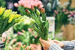 青山フラワーマーケット 南青山本店「青山チューリップ祭り」約100品種の鮮やかなチューリップが集結｜写真9