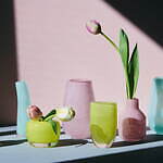 青山フラワーマーケット 南青山本店「青山チューリップ祭り」約100品種の鮮やかなチューリップが集結｜写真6