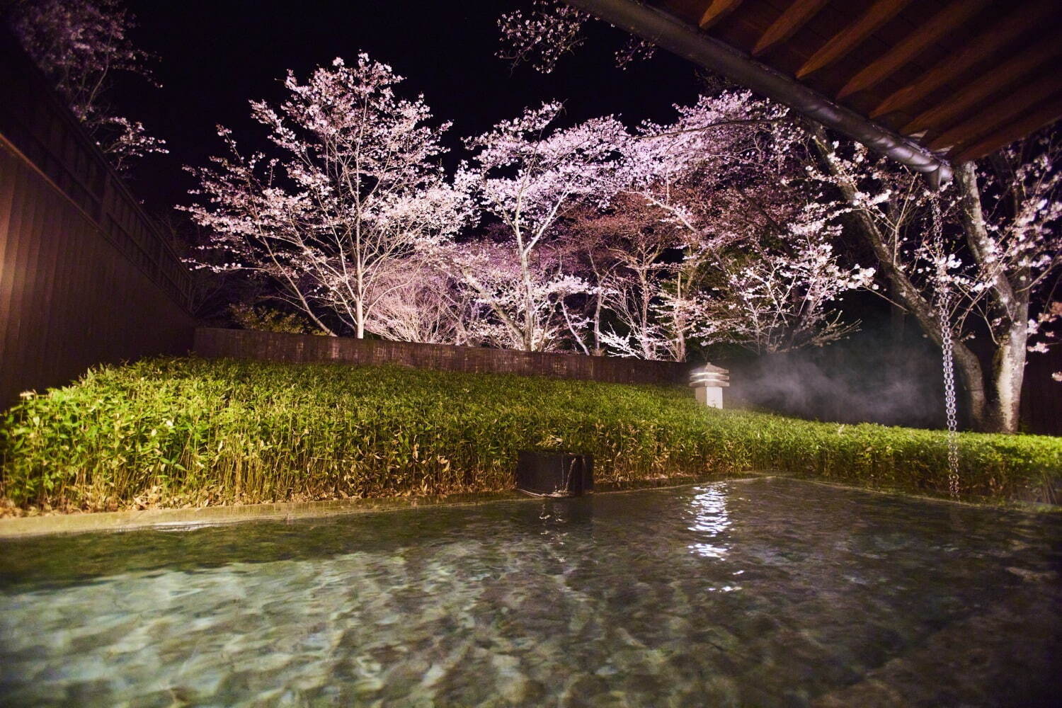 星野リゾートの温泉旅館「界」美しく咲き誇る“桜×温泉”イベント、春気分高める三色団子やお茶も｜写真6