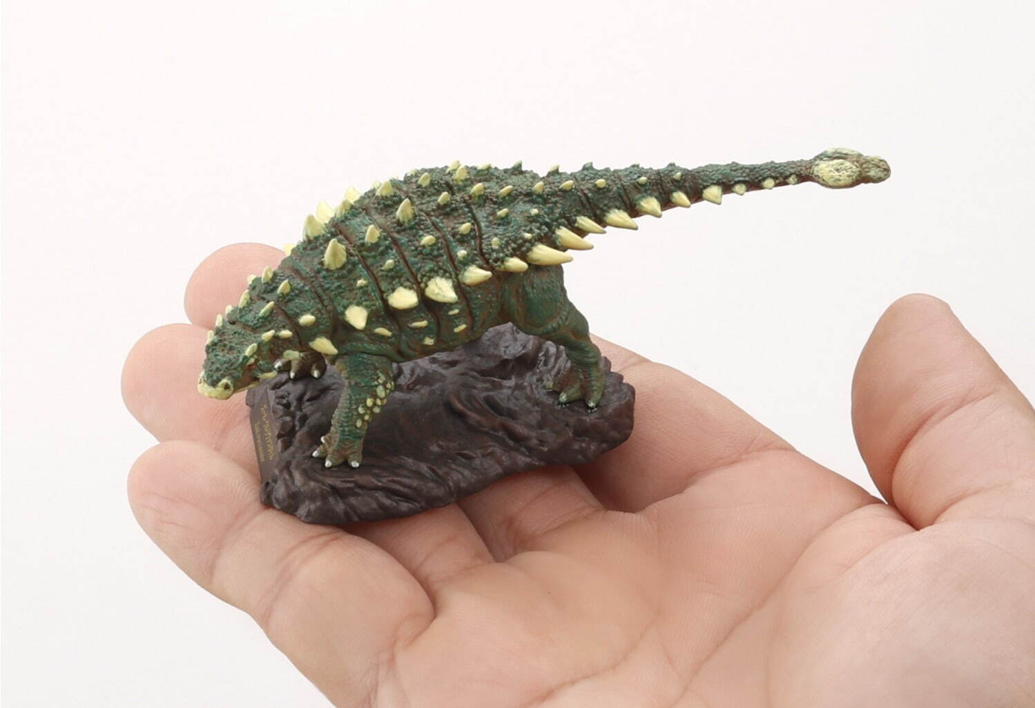 特別展「恐竜博2023」国立科学博物館で、鎧竜ズール・クルリヴァスタトルの実物化石を日本初公開｜写真9