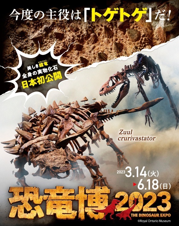 特別展「恐竜博2023」国立科学博物館で、鎧竜ズール・クルリヴァスタトルの実物化石を日本初公開｜写真6