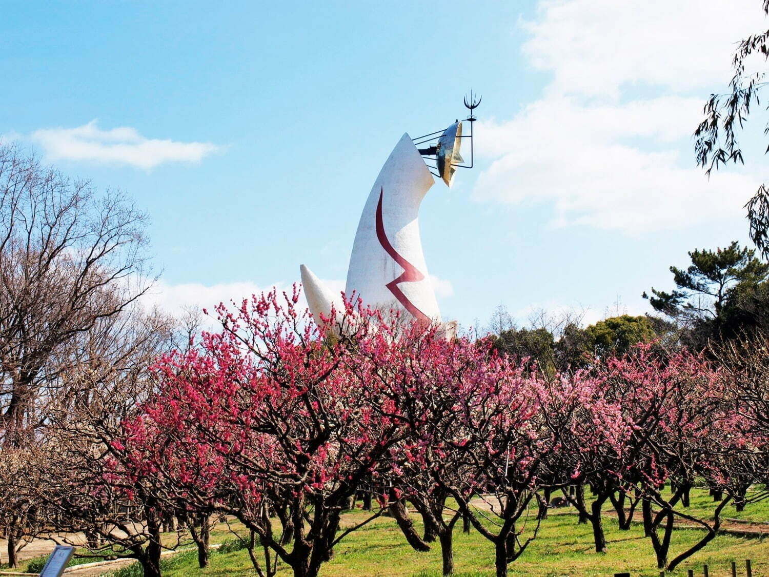 【全国の春イベント2023年】おでかけにおすすめ！東京のグルメスポット＆お花見イベントなど｜写真12