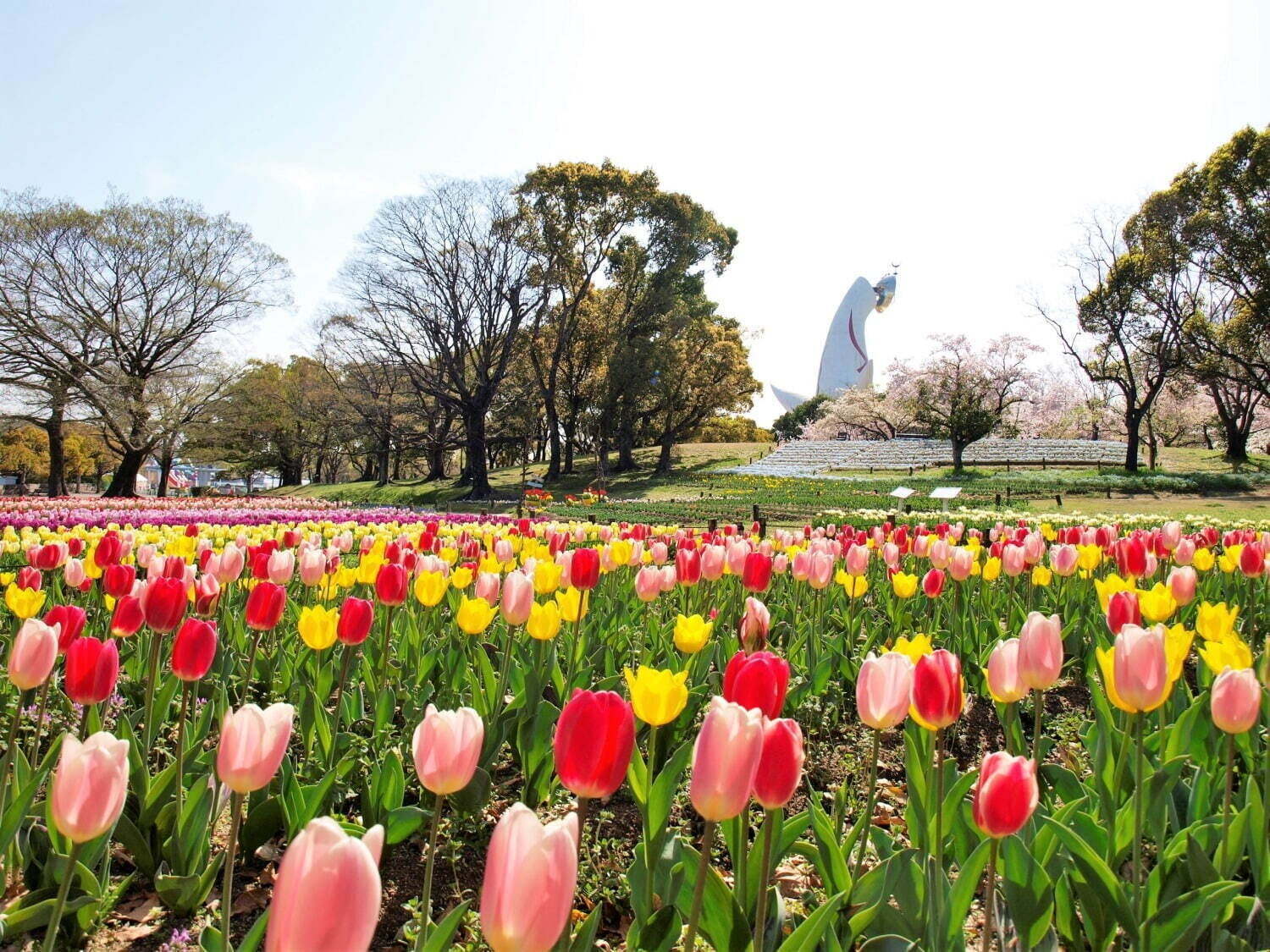 【全国の春イベント2023年】おでかけにおすすめ！東京のグルメスポット＆お花見イベントなど｜写真24