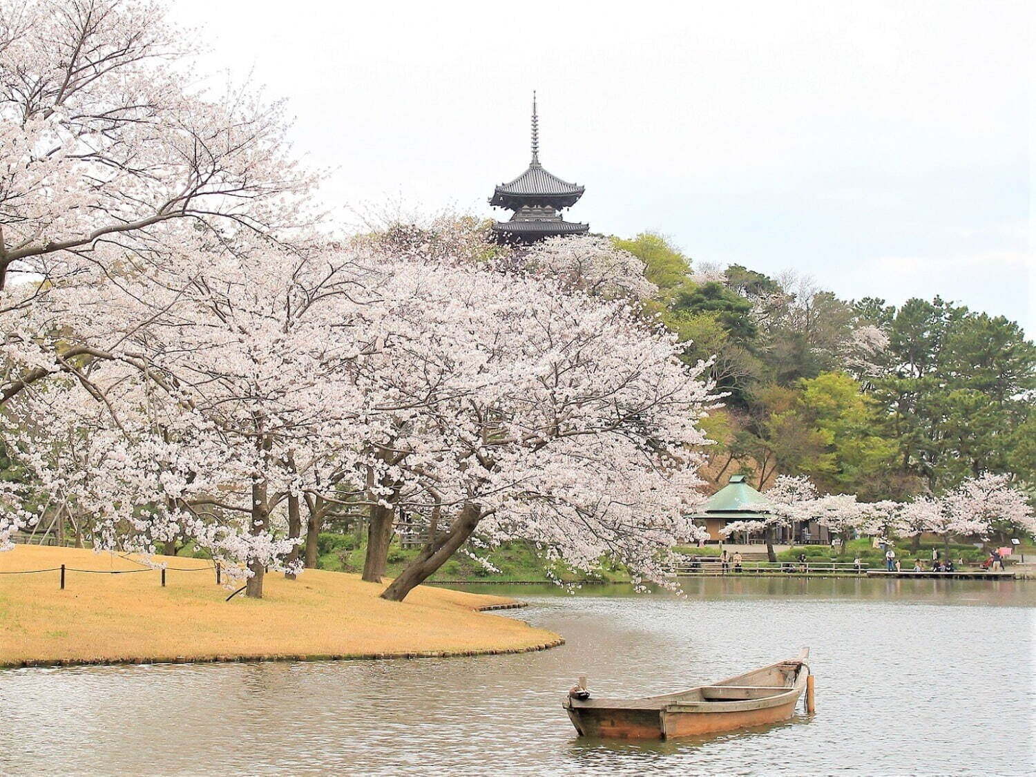 【全国の春イベント2023年】おでかけにおすすめ！東京のグルメスポット＆お花見イベントなど｜写真16