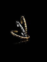 ルイ・ヴィトン(LOUIS VUITTON) LV ヴォルト｜写真2